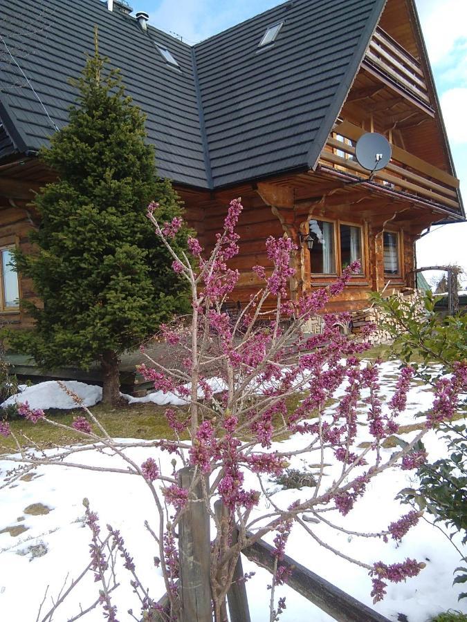 Willa Koisowka Zakopane Exteriér fotografie